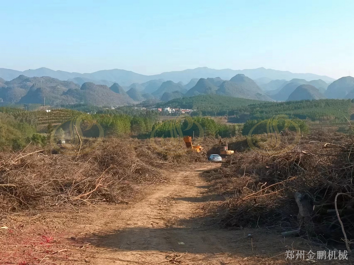 郑州金鹏树根切割机器：大尺寸硬质木料预粉碎处理方案